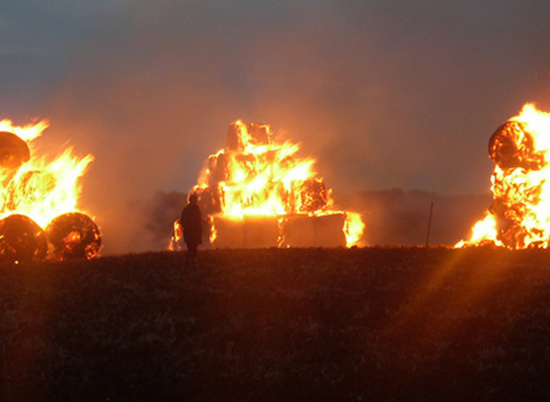 В Волгоградской области сгорело 36 тонн сена